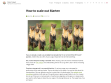 How to scale out Marten - Oskar Dudycz